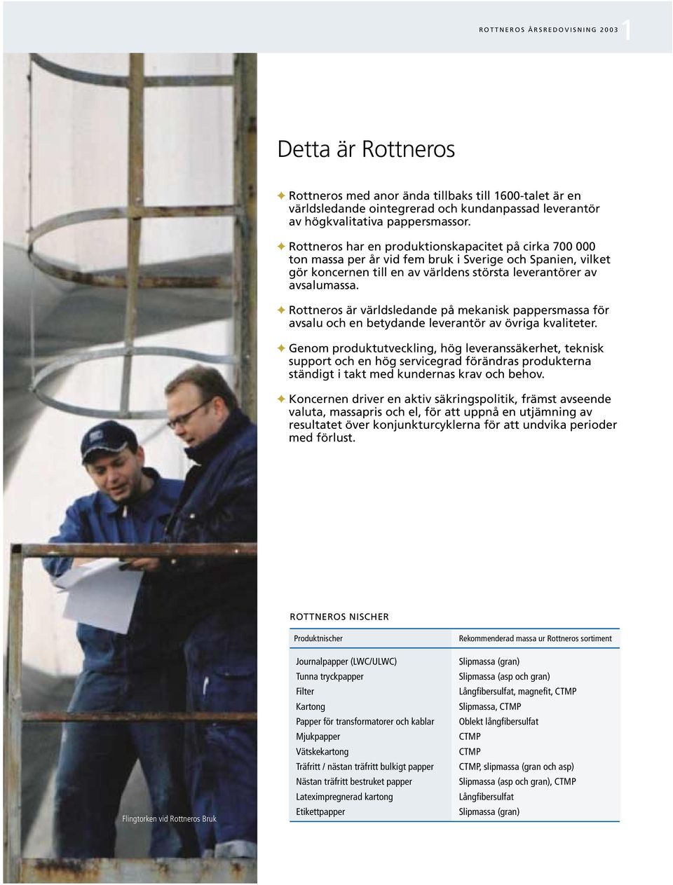 Rottneros är världsledande på mekanisk pappersmassa för avsalu och en betydande leverantör av övriga kvaliteter.