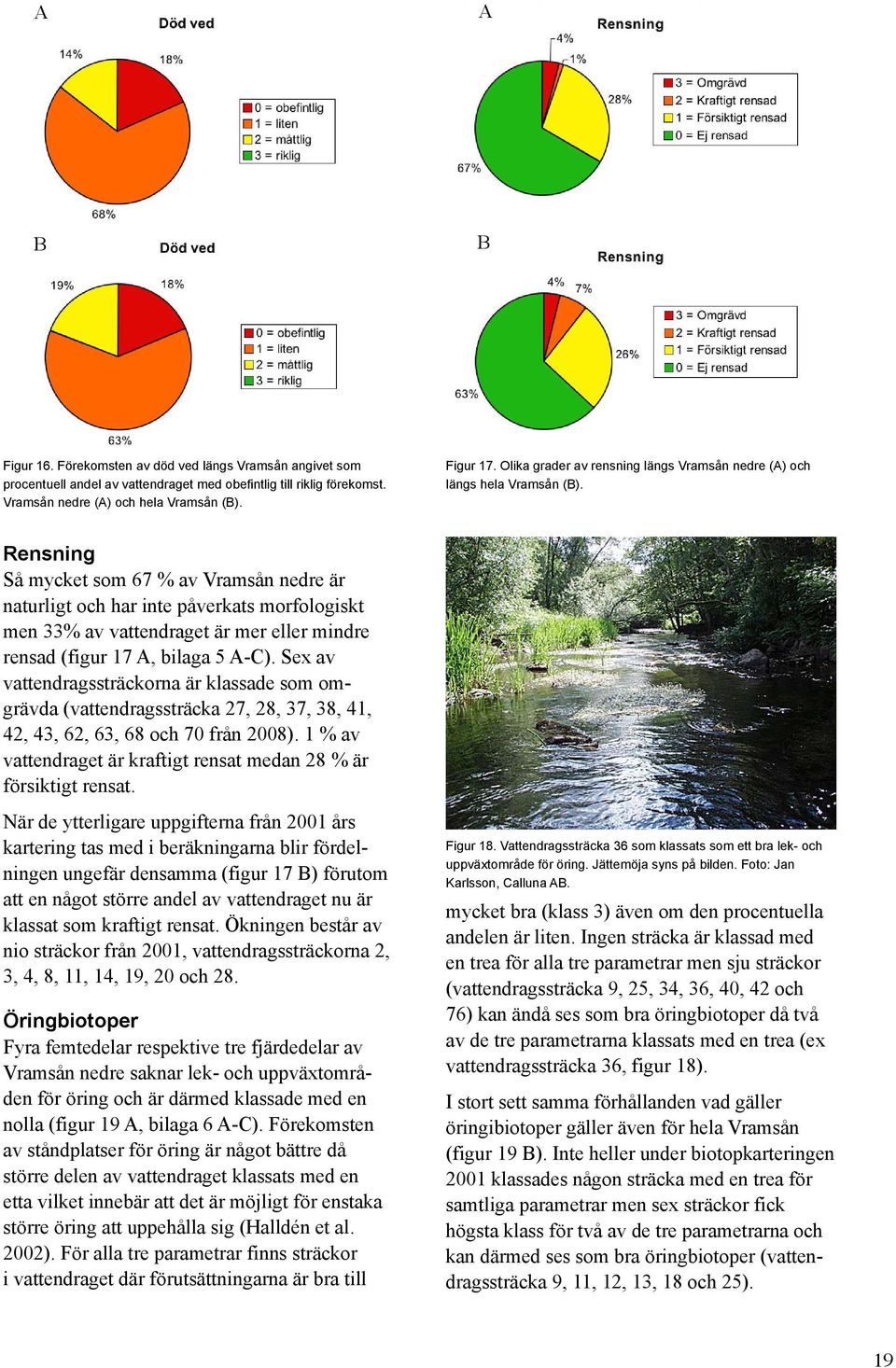 Rensning Så mycket som 67 % av Vramsån nedre är naturligt och har inte påverkats morfologiskt men 33% av vattendraget är mer eller mindre rensad (figur 17 A, bilaga 5 A-C).