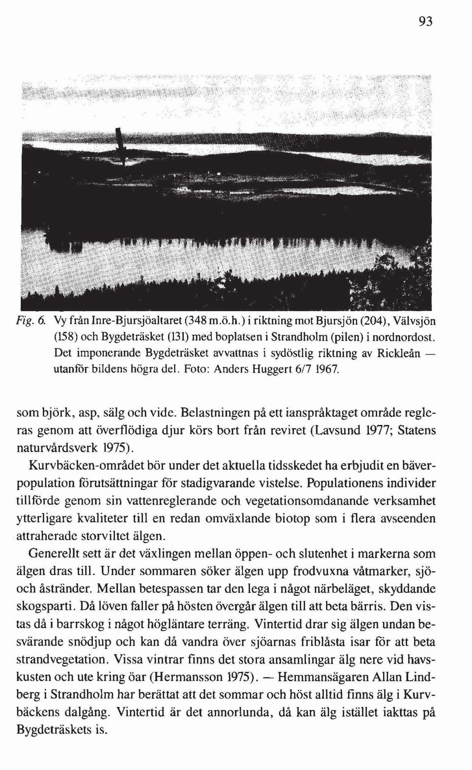 Belastningen på ett ianspråktaget område regleras genom att överflödiga djur körs bort från reviret (Lavsund 1977; Statens naturvårdsverk 1975).
