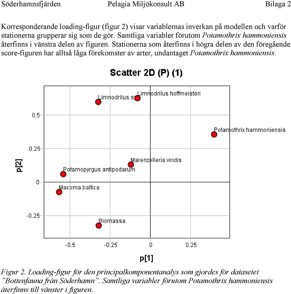 Stationerna som återfinns i högra delen av den föregående score-figuren har alltså låga förekomster av arter, undantaget Potamothrix hammoniensis.