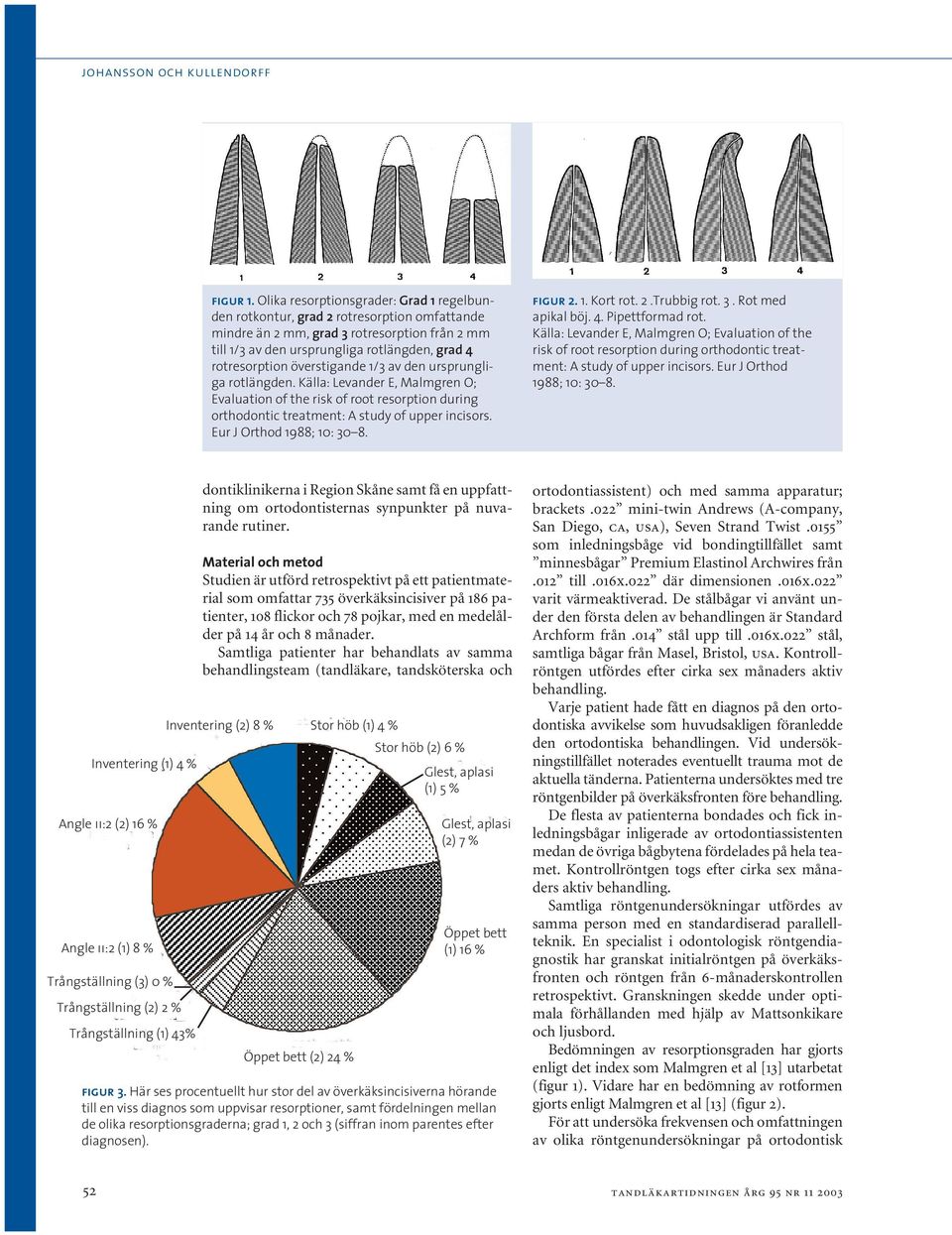 överstigande 1/3 av den ursprungliga rotlängden. Källa: Levander E, Malmgren O; Evaluation of the risk of root resorption during orthodontic treatment: A study of upper incisors.