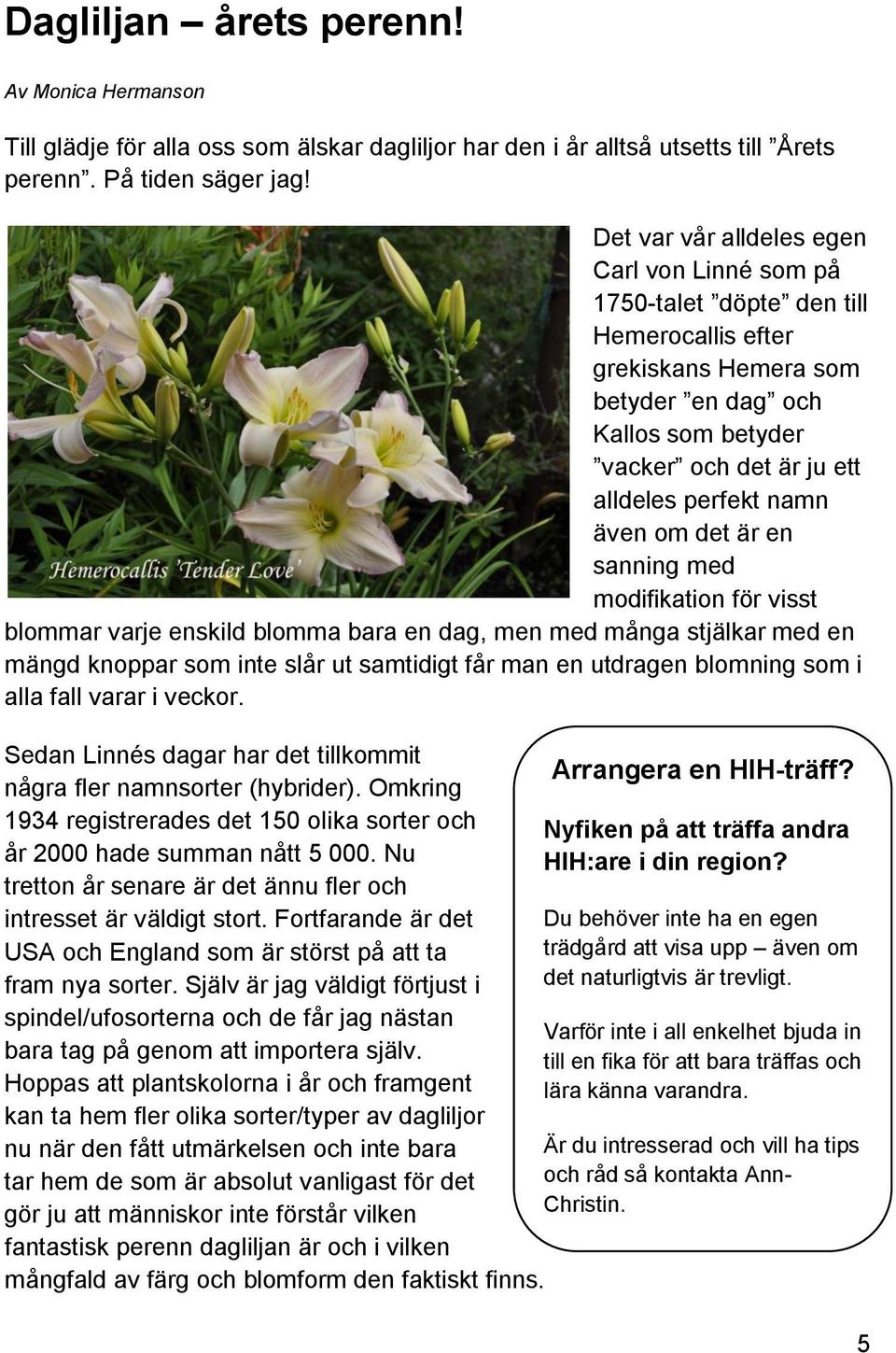 även om det är en sanning med modifikation för visst blommar varje enskild blomma bara en dag, men med många stjälkar med en mängd knoppar som inte slår ut samtidigt får man en utdragen blomning som