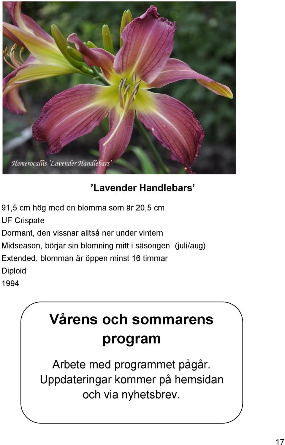 (juli/aug) Extended, blomman är öppen minst 16 timmar Diploid 1994 Vårens och