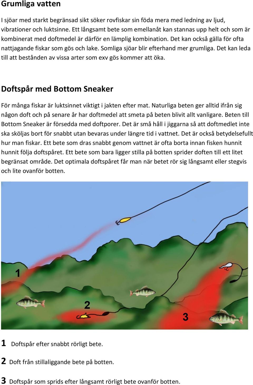 Somliga sjöar blir efterhand mer grumliga. Det kan leda till att bestånden av vissa arter som exv gös kommer att öka.