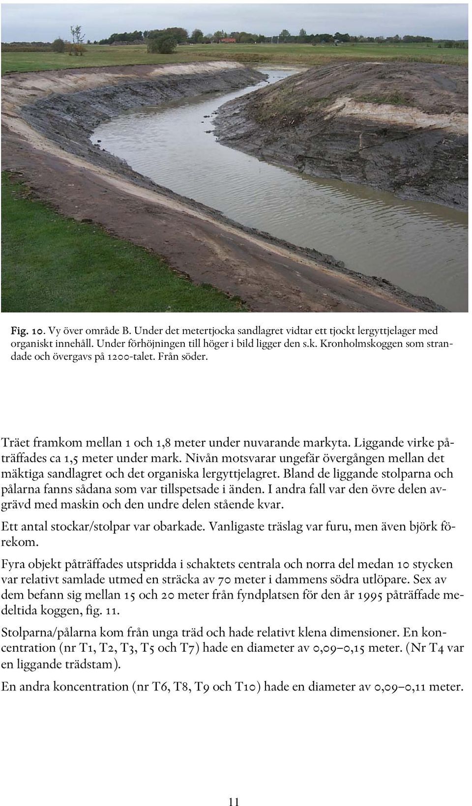 Nivån motsvarar ungefär övergången mellan det mäktiga sandlagret och det organiska lergyttjelagret. Bland de liggande stolparna och pålarna fanns sådana som var tillspetsade i änden.