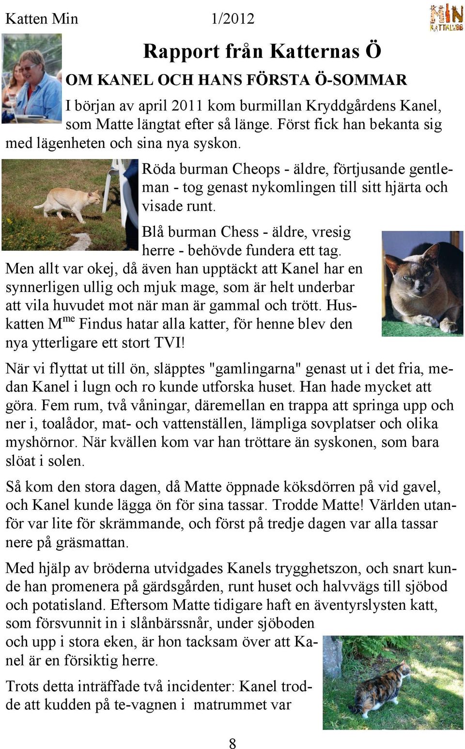 Blå burman Chess - äldre, vresig herre - behövde fundera ett tag.