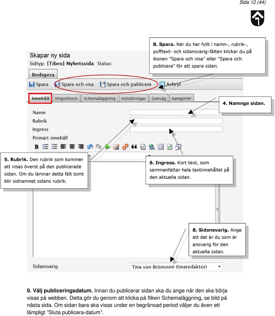 Kort text, som sammanfattar hela textinnehållet på den aktuella sidan. 8. Sidansvarig. Ange att det är du som är ansvarig för den aktuella sidan. 9. Välj publiceringsdatum.