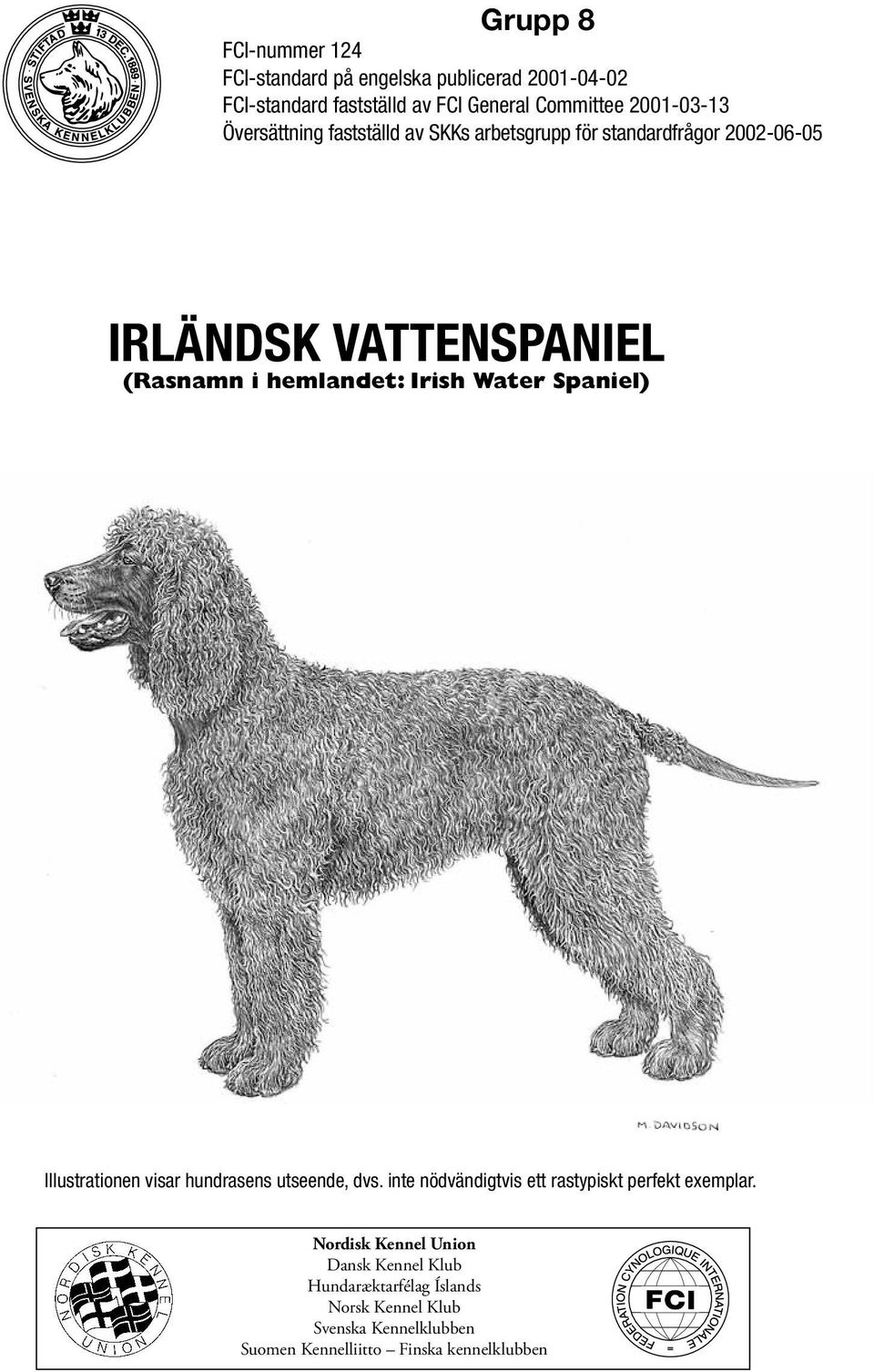 hemlandet: Irish Water Spaniel) Illustrationen visar hundrasens utseende, dvs.