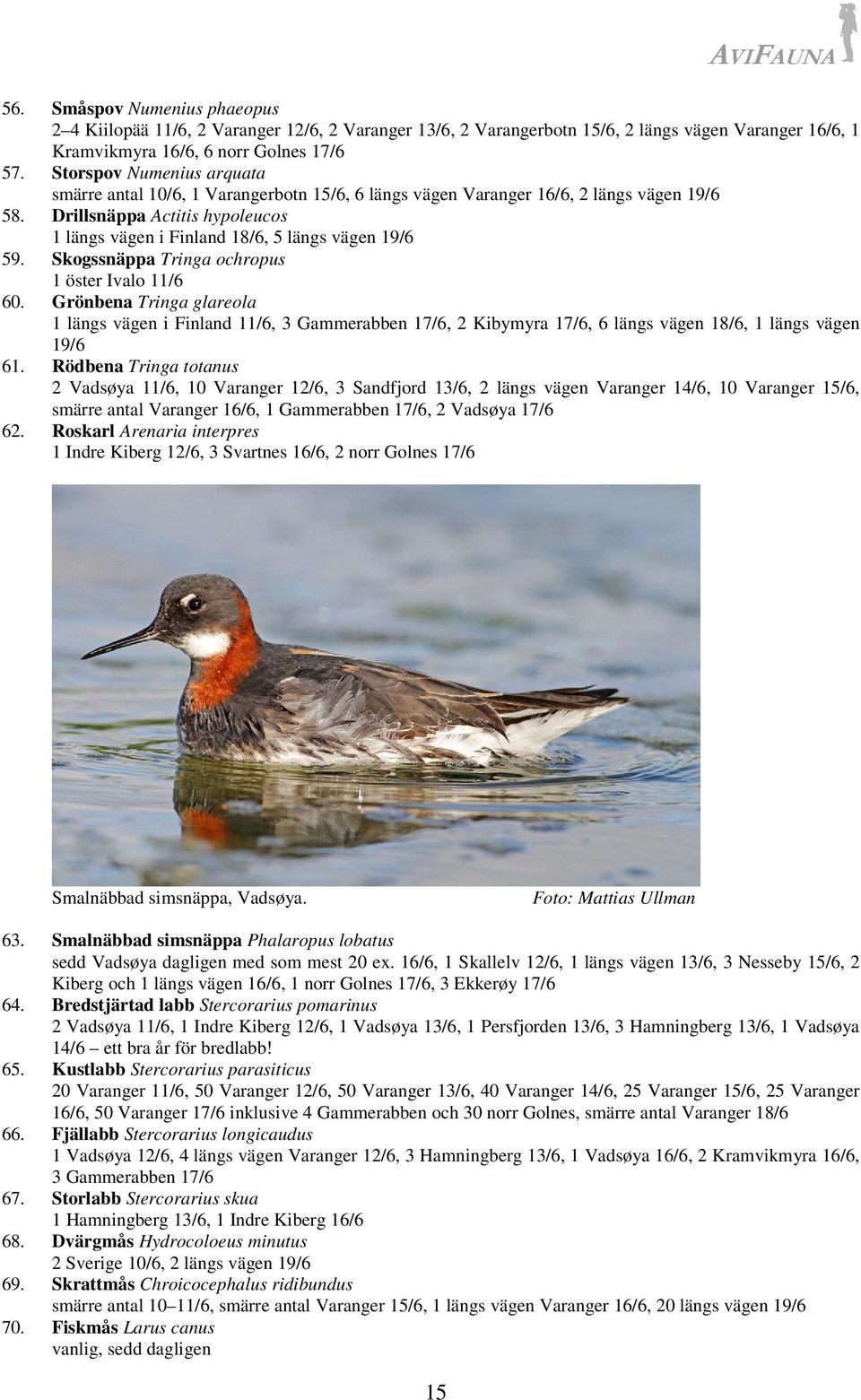 Drillsnäppa Actitis hypoleucos 1 längs vägen i Finland 18/6, 5 längs vägen 19/6 59. Skogssnäppa Tringa ochropus 1 öster Ivalo 11/6 60.