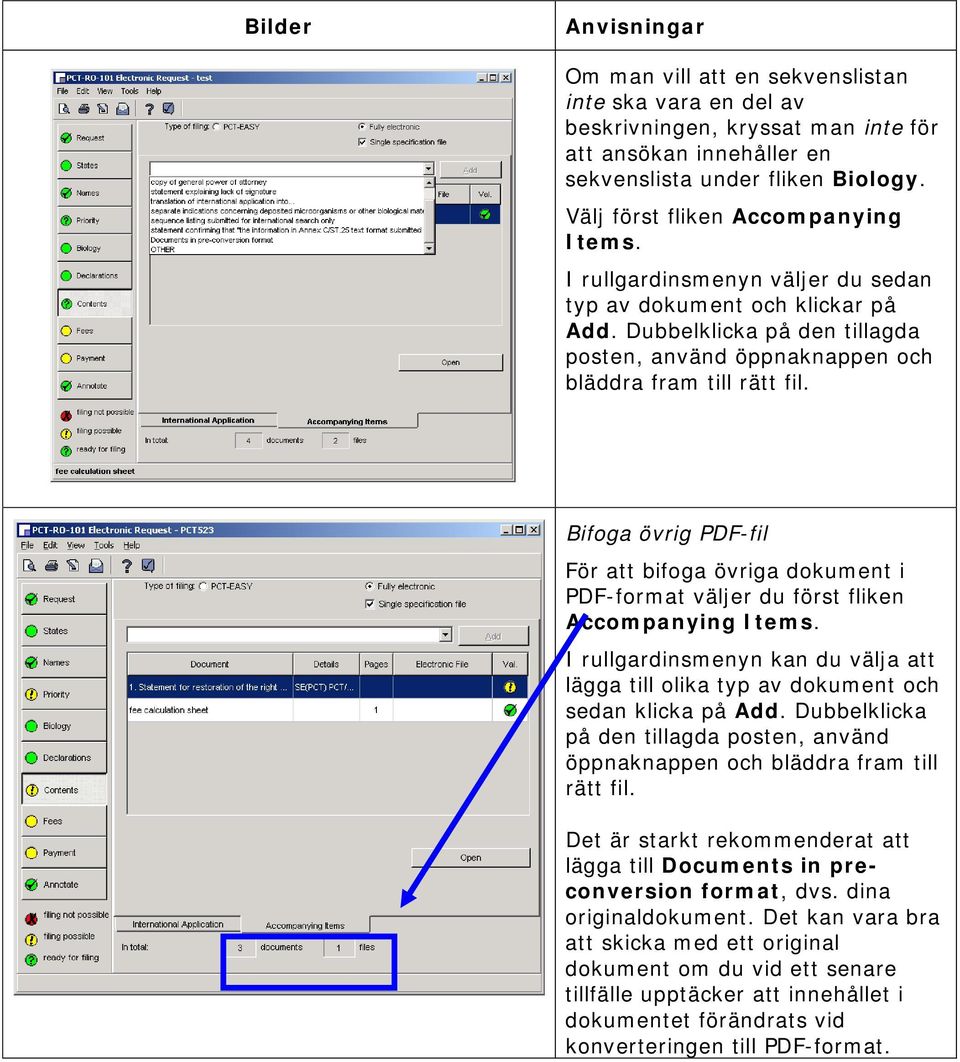 Bifoga övrig PDF-fil För att bifoga övriga dokument i PDF-format väljer du först fliken Accompanying Items.