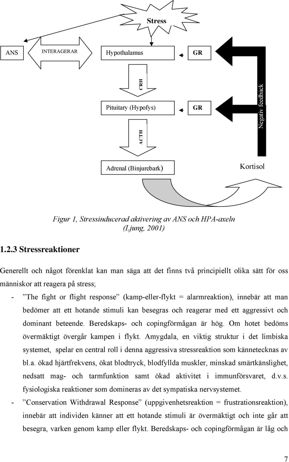 reagera på stress; - The fight or flight response (kamp-eller-flykt = alarmreaktion), innebär att man bedömer att ett hotande stimuli kan besegras och reagerar med ett aggressivt och dominant