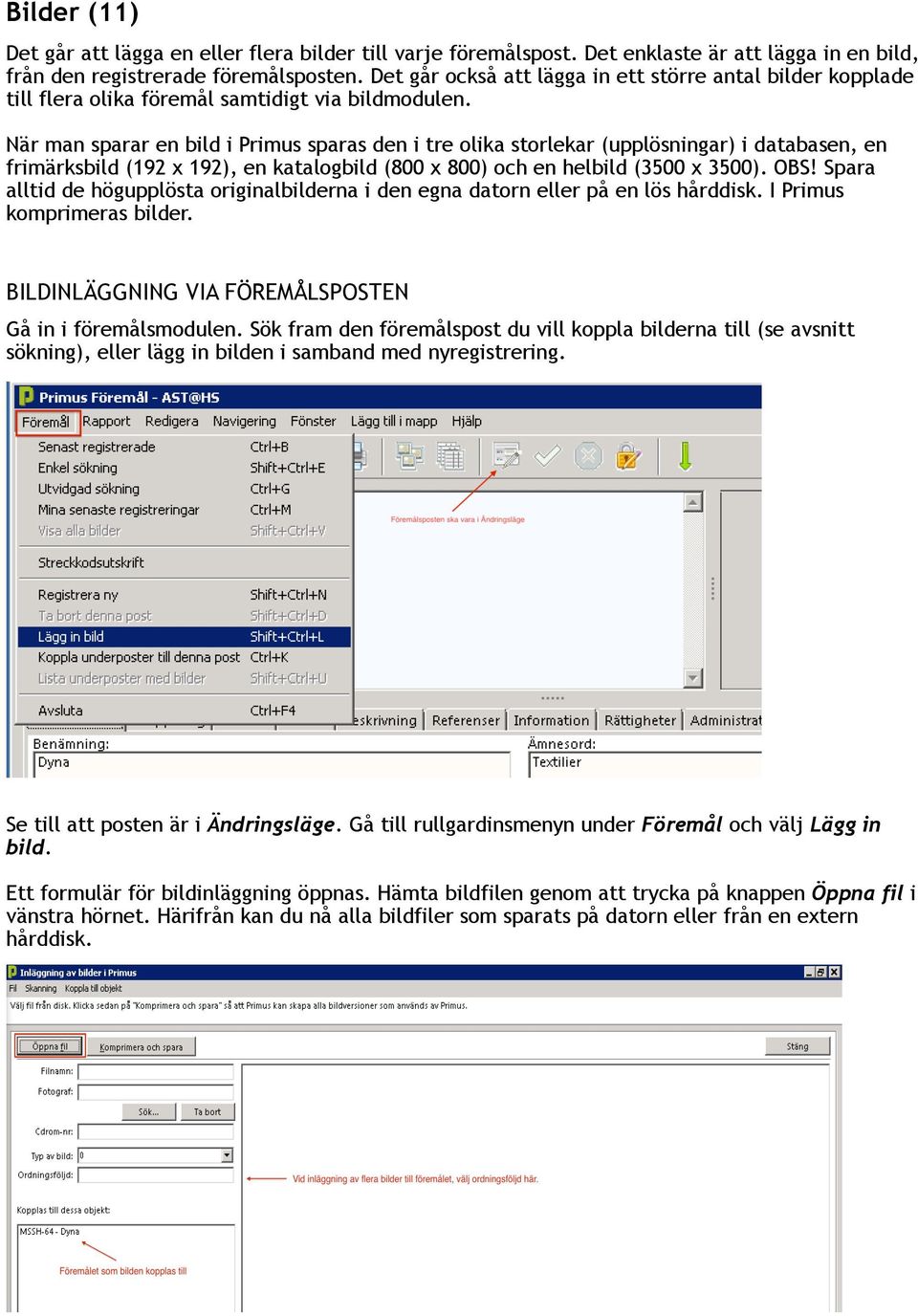 När man sparar en bild i Primus sparas den i tre olika storlekar (upplösningar) i databasen, en frimärksbild (192 x 192), en katalogbild (800 x 800) och en helbild (3500 x 3500). OBS!