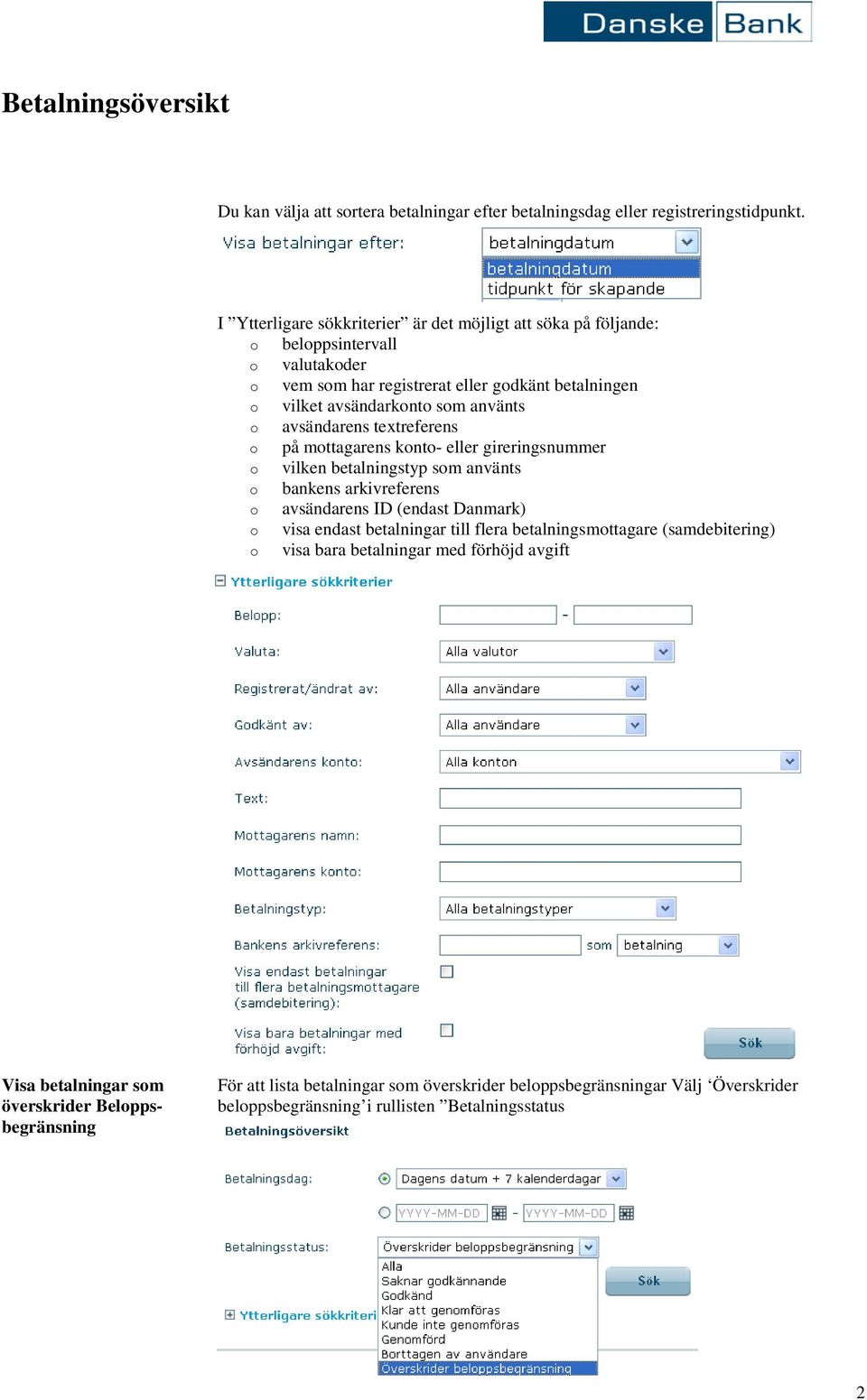 o avsändarens textreferens o på mottagarens konto- eller gireringsnummer o vilken betalningstyp som använts o bankens arkivreferens o avsändarens ID (endast Danmark) o visa endast