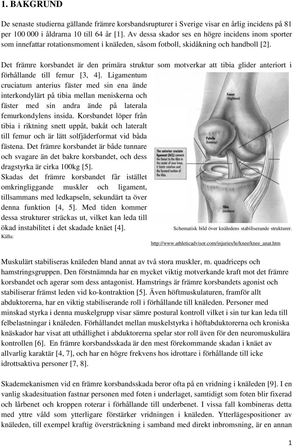 Det främre korsbandet är den primära struktur som motverkar att tibia glider anteriort i förhållande till femur [3, 4].