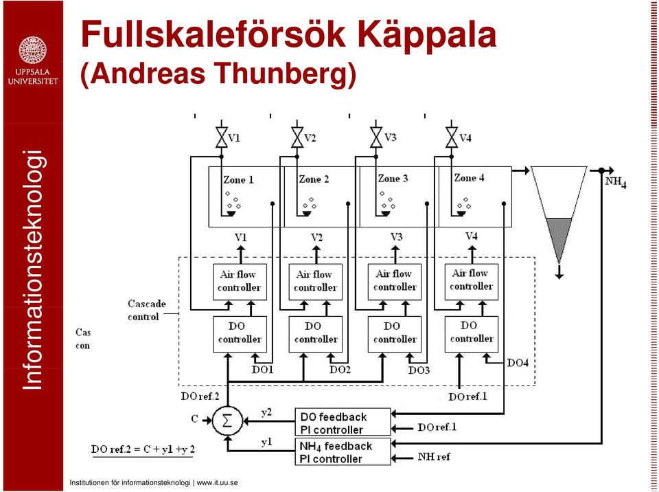 Thunberg)