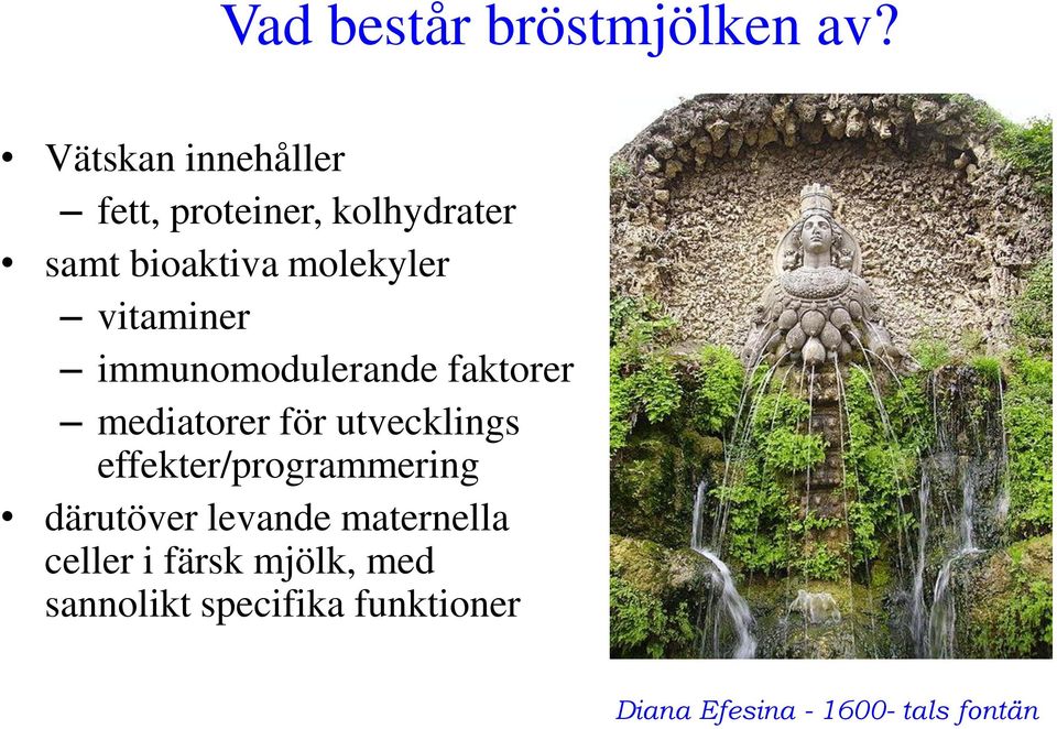 vitaminer immunomodulerande faktorer mediatorer för utvecklings