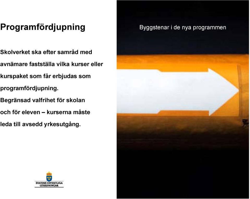 som får erbjudas som programfördjupning.