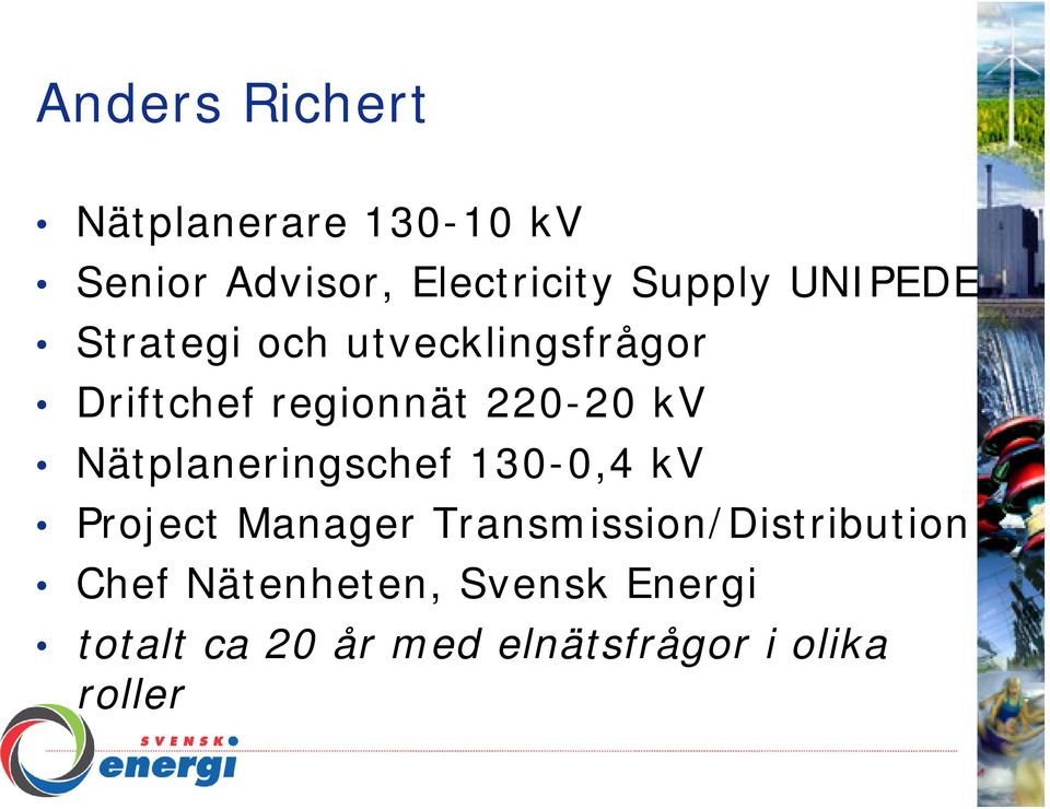 Nätplaneringschef 130-0,4 kv Project Manager Transmission/Distribution