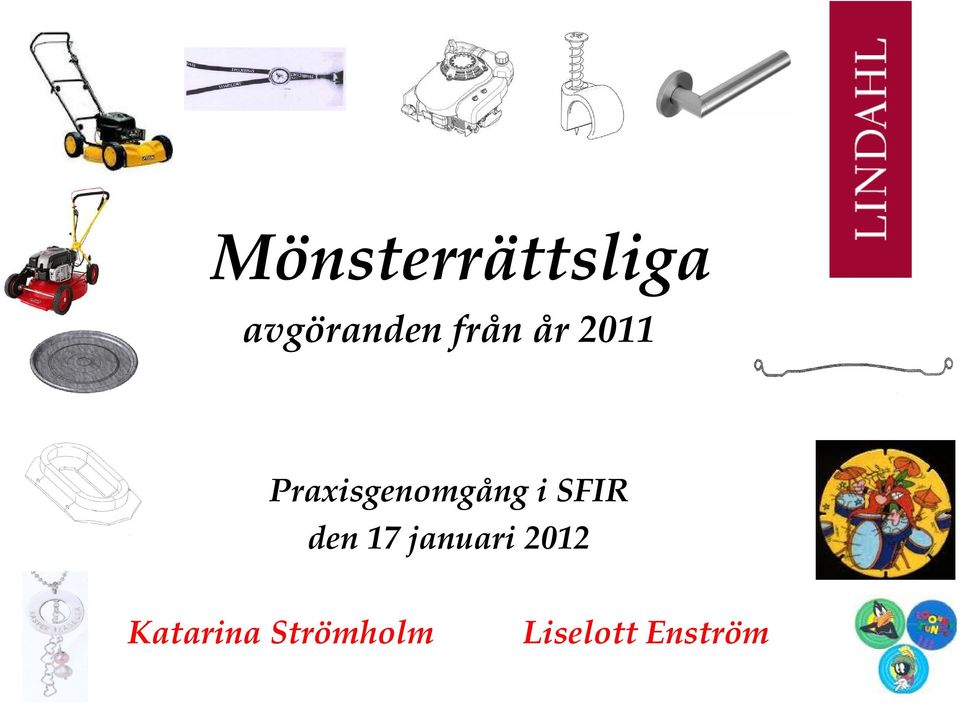 i SFIR den 17 januari 2012