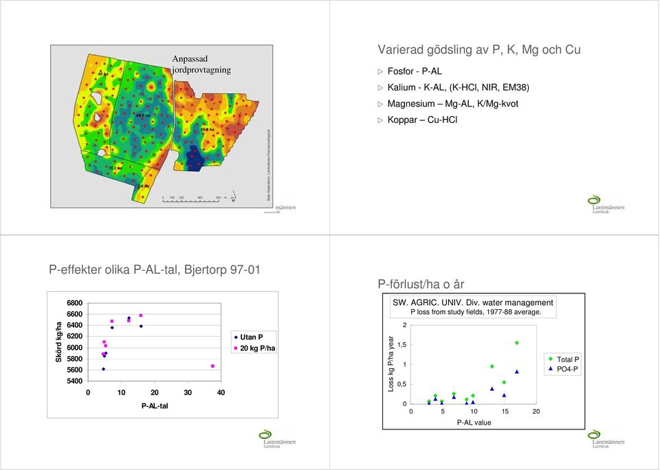 6800 6600 6400 6200 6000 5800 5600 5400 0 10 20 30 40 Utan P 20 kg P/ha Loss kg P/ha year SW. AGRIC. UNIV. Div.