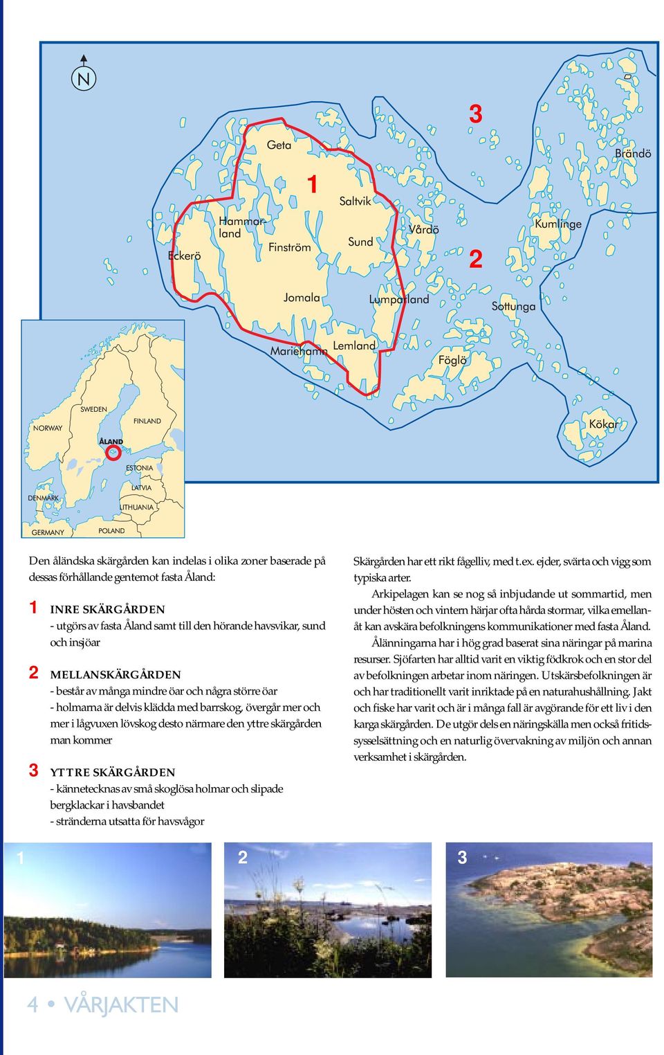 och insjöar 2 MELLANSKÄRGÅRDEN - består av många mindre öar och några större öar - holmarna är delvis klädda med barrskog, övergår mer och mer i lågvuxen lövskog desto närmare den yttre skärgården