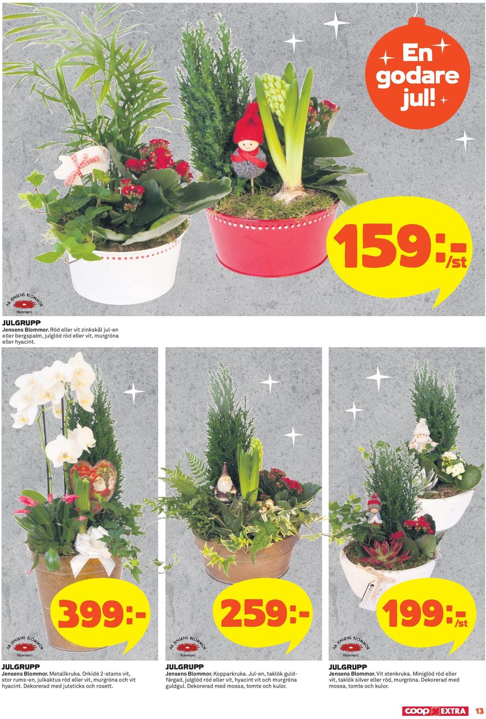 Orkidé 2-stams vit, stor rums-en, julkaktus röd eller vit, murgröna och vit hyacint. Dekorerad med julsticks och rosett. Jensens Blommor. Kopparkruka.