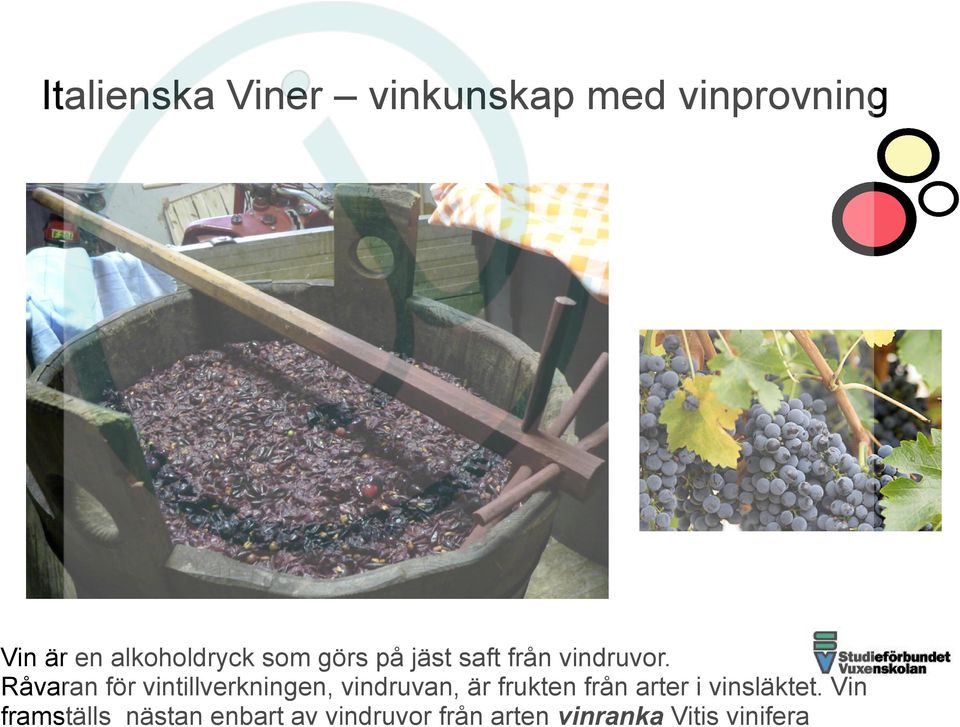 Råvaran för vintillverkningen, vindruvan, är frukten