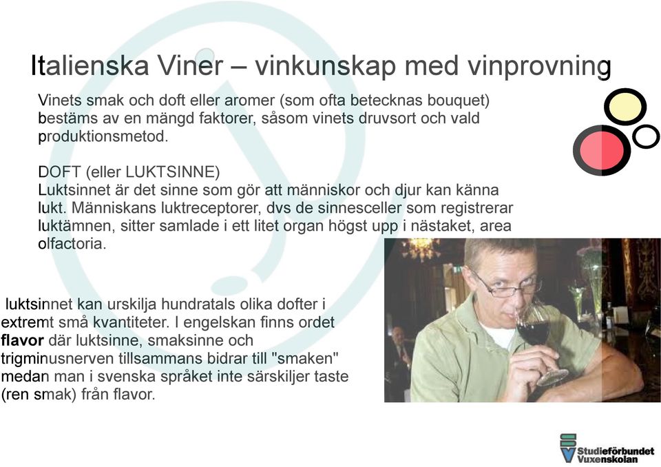 Människans luktreceptorer, dvs de sinnesceller som registrerar luktämnen, sitter samlade i ett litet organ högst upp i nästaket, area olfactoria.