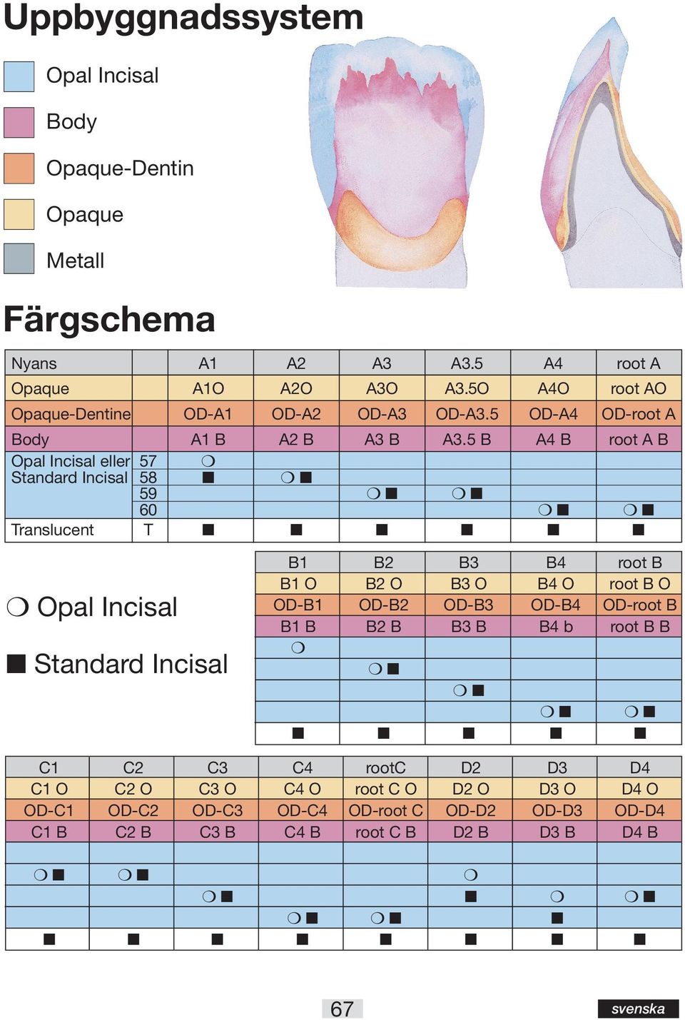 5 B A4 B root A B Opal Incisal eller 57 Standard Incisal 58 59 60 Translucent T Opal Incisal Standard Incisal B1 B2 B3 B4 root B B1 O B2 O B3 O B4 O root