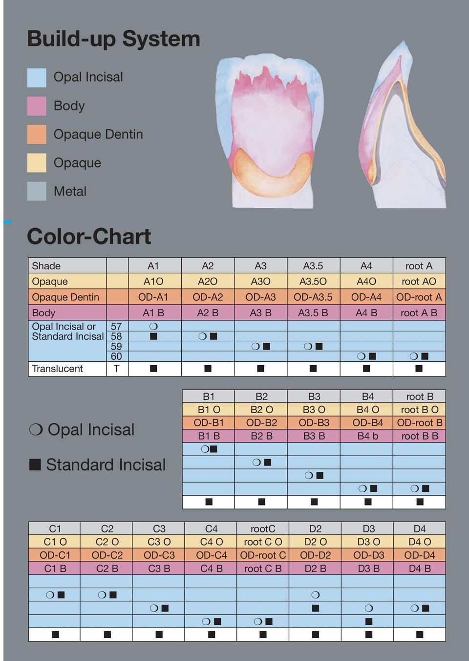 5 B A4 B root A B Opal Incisal or 57 Standard Incisal 58 59 60 Translucent T Opal Incisal Standard Incisal B1 B2 B3 B4 root B B1 O B2 O B3 O B4 O root