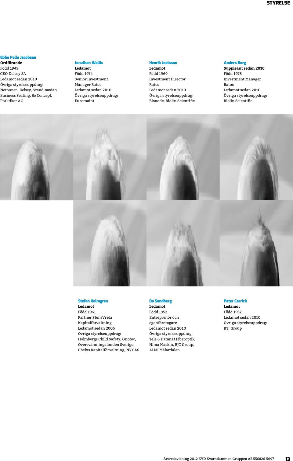 styrelseuppdrag: Bisnode, Biolin Scientific Anders Borg Suppleant sedan 2010 Född 1978 Investment Manager Ratos Ledamot sedan 2010 Övriga styrelseuppdrag: Biolin Scientific Stefan Holmgren Ledamot