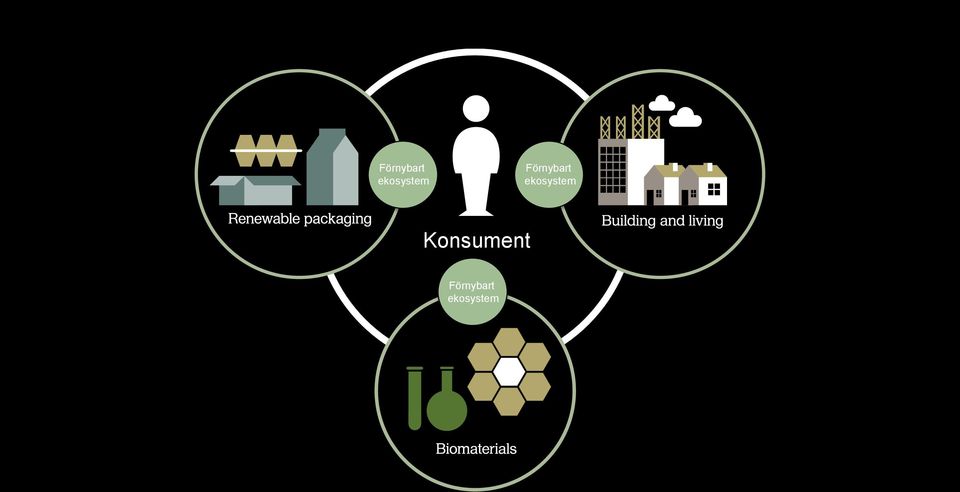 Konsument  19