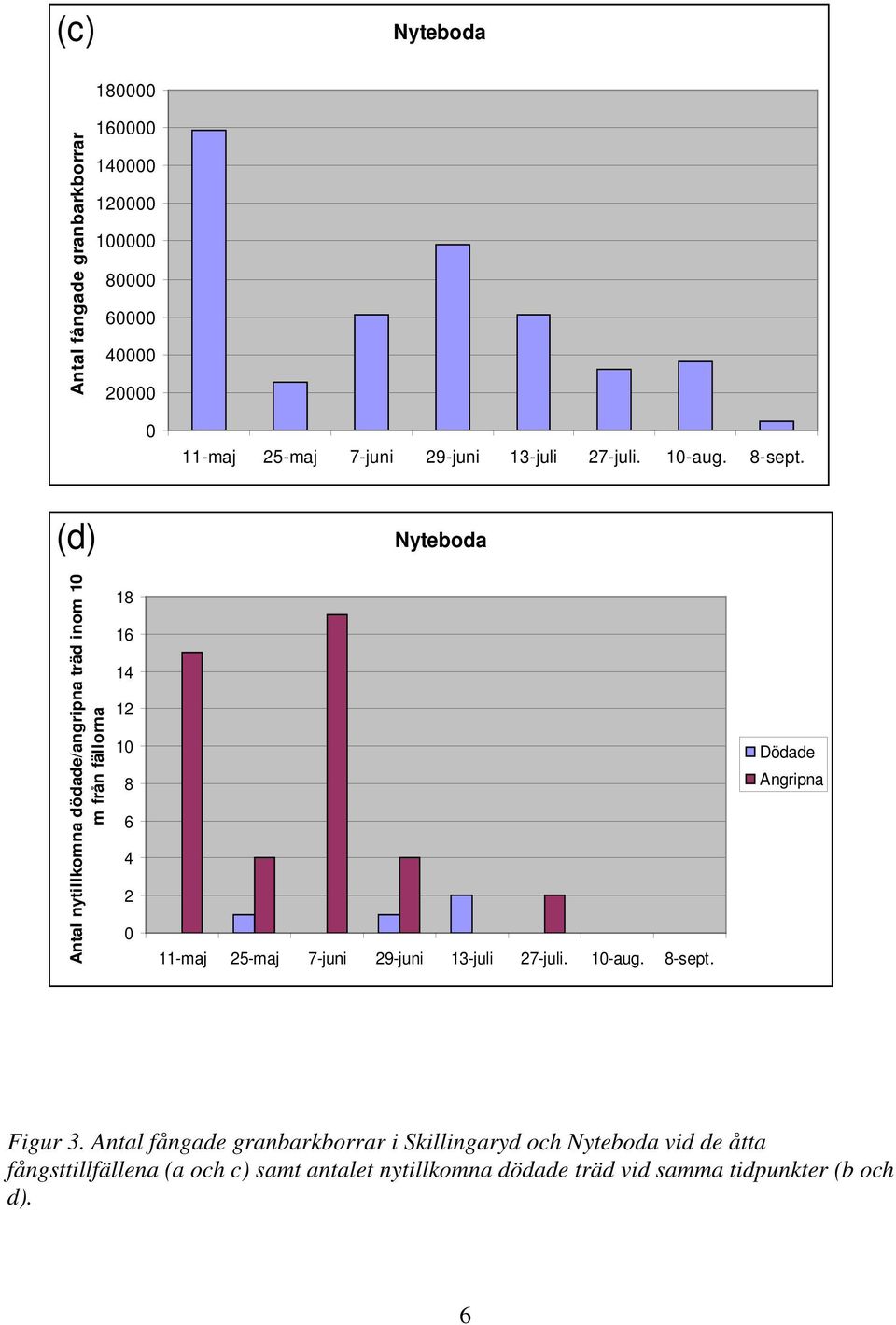 (d) Nyteboda Antal nytillkomna dödade/angripna träd inom 10 m från fällorna 18 16 14 12 10 8 6 4 2 0 11-maj 25-maj 7-juni  Dödade