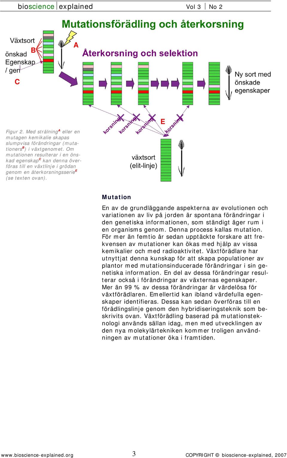 E Mutation En av de grundläggande aspekterna av evolutionen och variationen av liv på jorden är spontana förändringar i den genetiska informationen, som ständigt äger rum i en organisms genom.