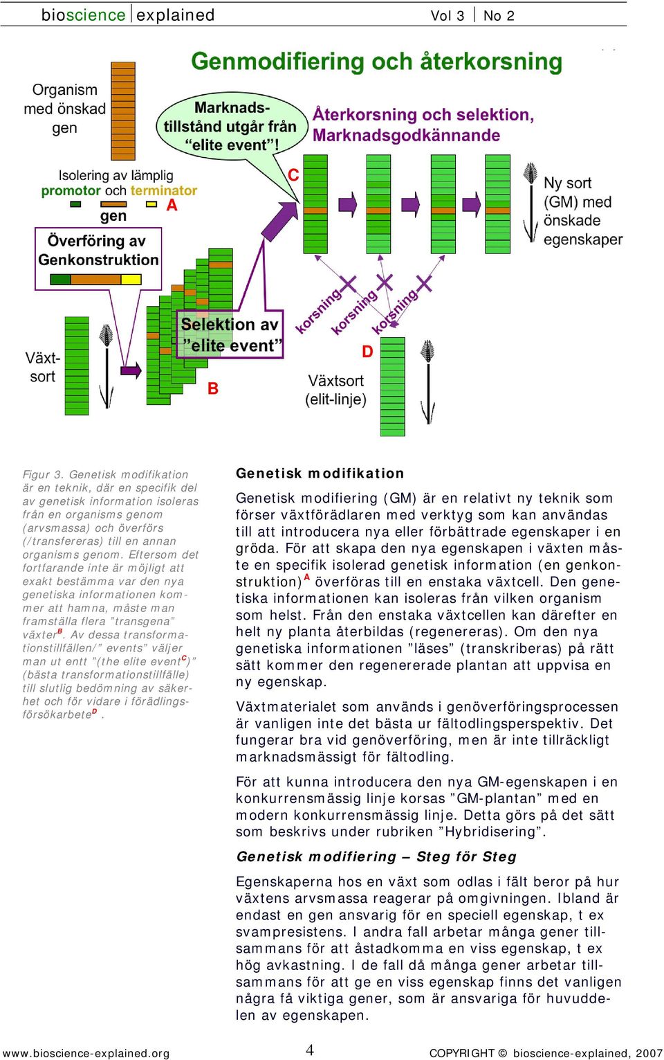 Eftersom det fortfarande inte är möjligt att exakt bestämma var den nya genetiska informationen kommer att hamna, måste man framställa flera transgena växter B.