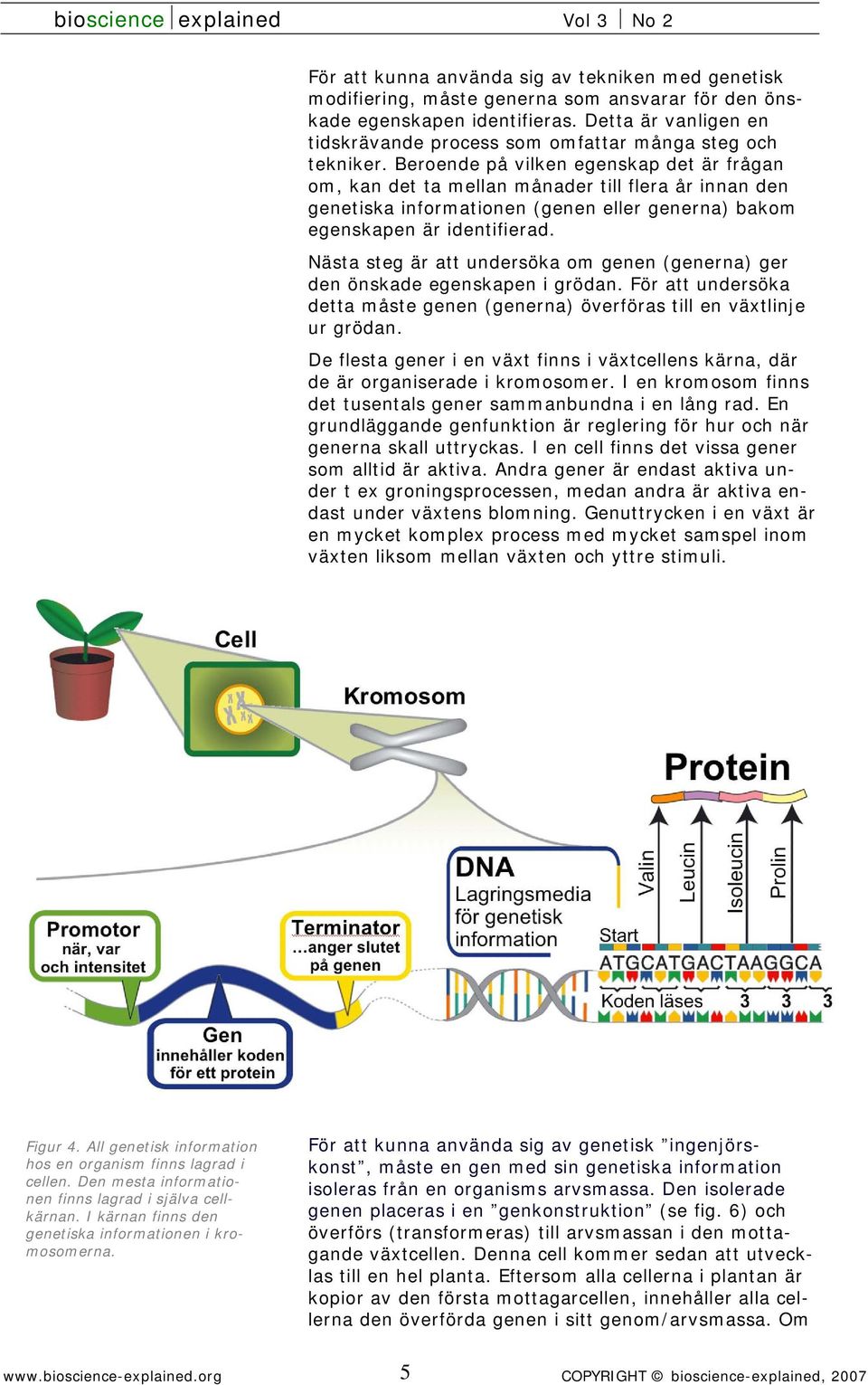 Beroende på vilken egenskap det är frågan om, kan det ta mellan månader till flera år innan den genetiska informationen (genen eller generna) bakom egenskapen är identifierad.