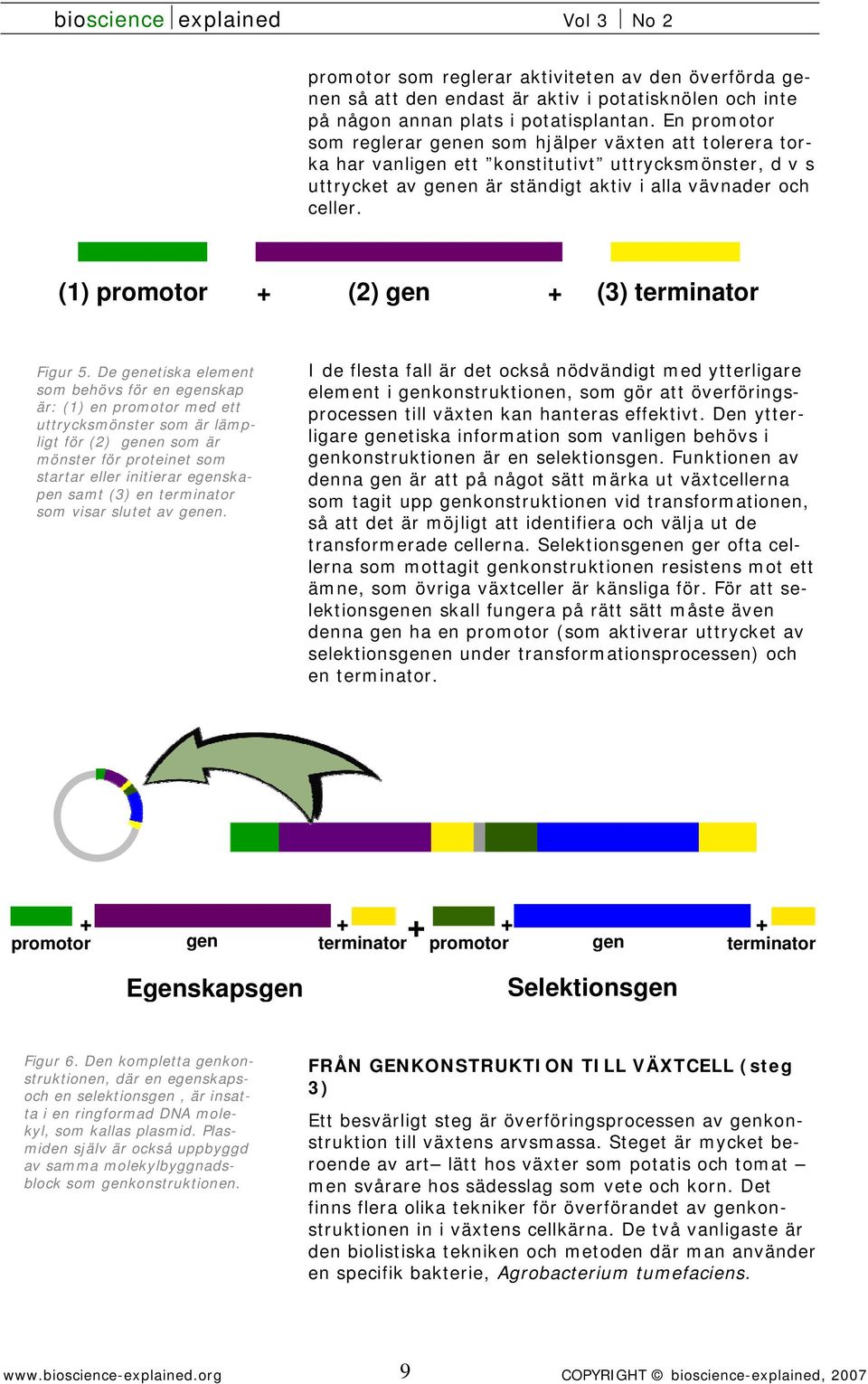 (1) promotor + (2) gen + (3) terminator Figur 5.