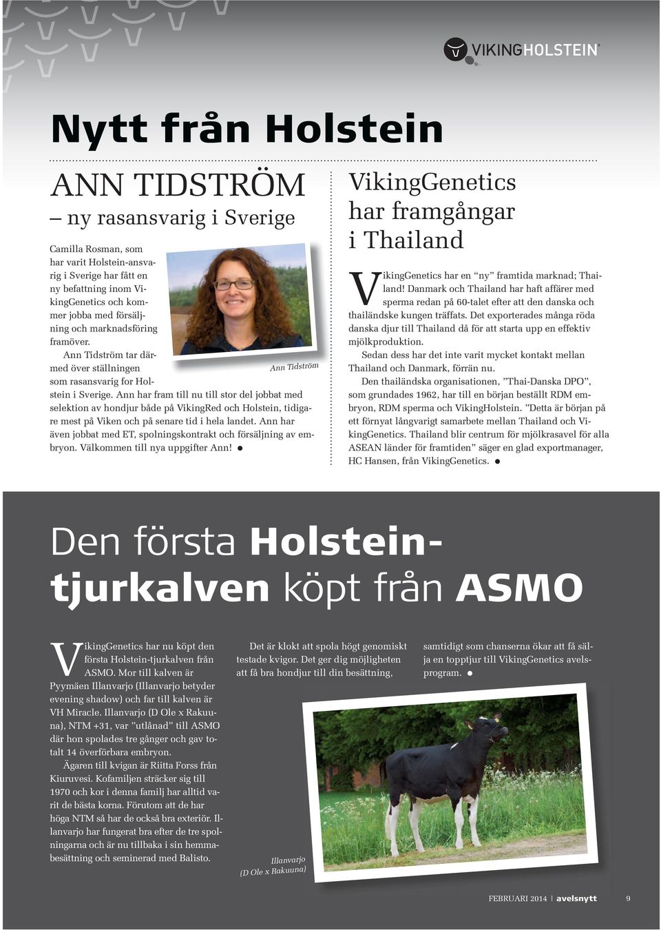 Ann har fram till nu till stor del jobbat med selektion av hondjur både på VikingRed och Holstein, tidigare mest på Viken och på senare tid i hela landet.