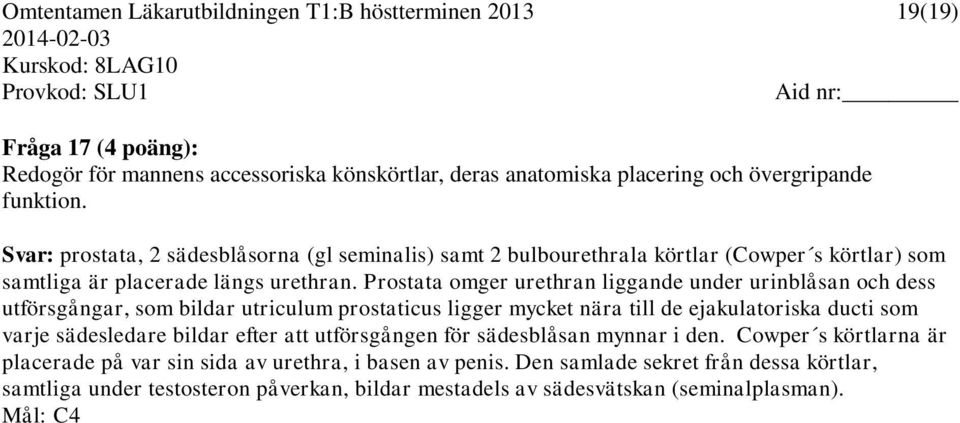 Prostata omger urethran liggande under urinblåsan och dess utförsgångar, som bildar utriculum prostaticus ligger mycket nära till de ejakulatoriska ducti som varje sädesledare bildar efter