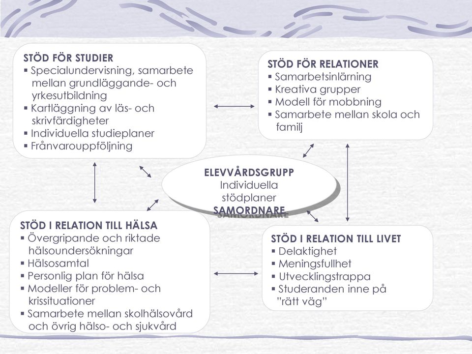 krissituationer Samarbete mellan skolhälsovård och övrig hälso- och sjukvård ELEVVÅRDSGRUPP Individuella stödplaner SAMORDNARE STÖD FÖR RELATIONER