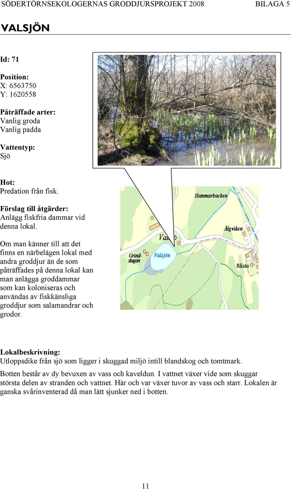 användas av fiskkänsliga groddjur som salamandrar och grodor. Utloppsdike från sjö som ligger i skuggad miljö intill blandskog och tomtmark.