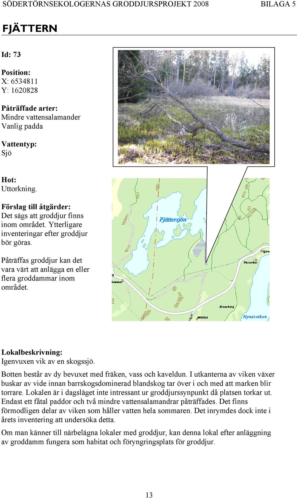 I utkanterna av viken växer buskar av vide innan barrskogsdominerad blandskog tar över i och med att marken blir torrare.