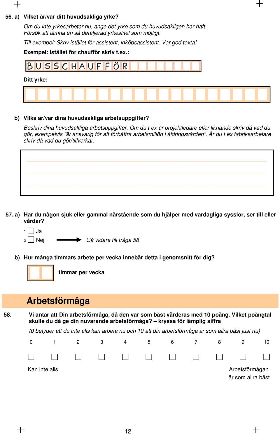 Beskriv dina huvudsakliga arbetsuppgifter. Om du t ex är projektledare eller liknande skriv då vad du gör, exempelvis är ansvarig för att förbättra arbetsmiljön i åldringsvården.