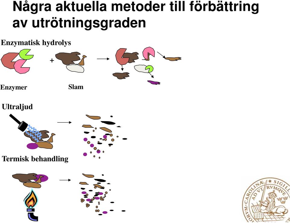 utrötningsgraden Enzymatisk