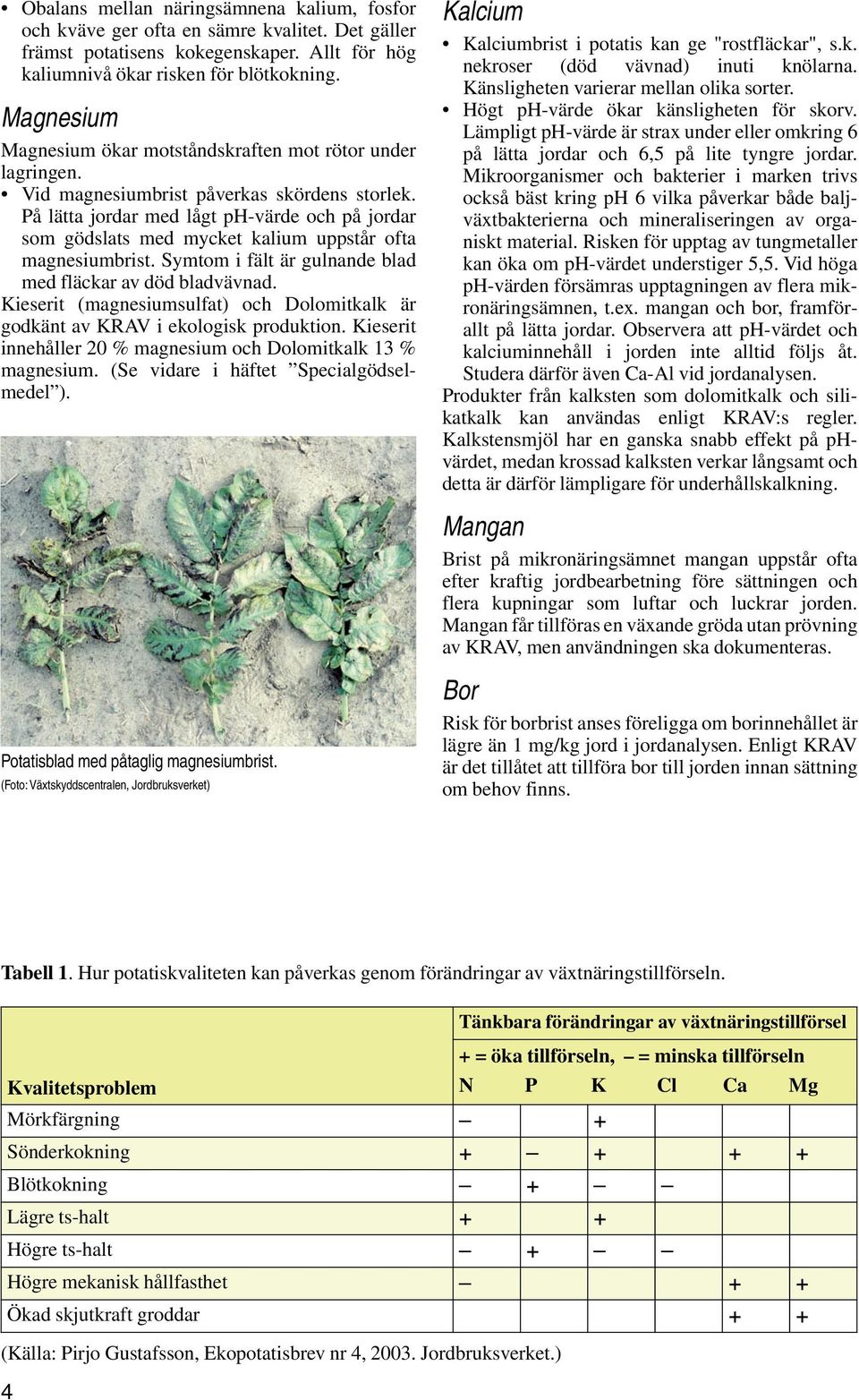 På lätta jordar med lågt ph-värde och på jordar som gödslats med mycket kalium uppstår ofta magnesiumbrist. Symtom i fält är gulnande blad med fläckar av död bladvävnad.