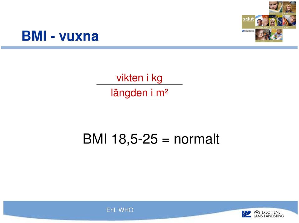 längden i m² BMI