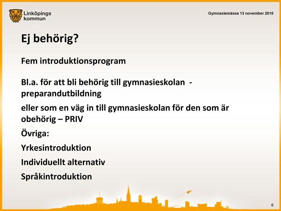 preparandutbildning eller som en väg in till gymnasieskolan