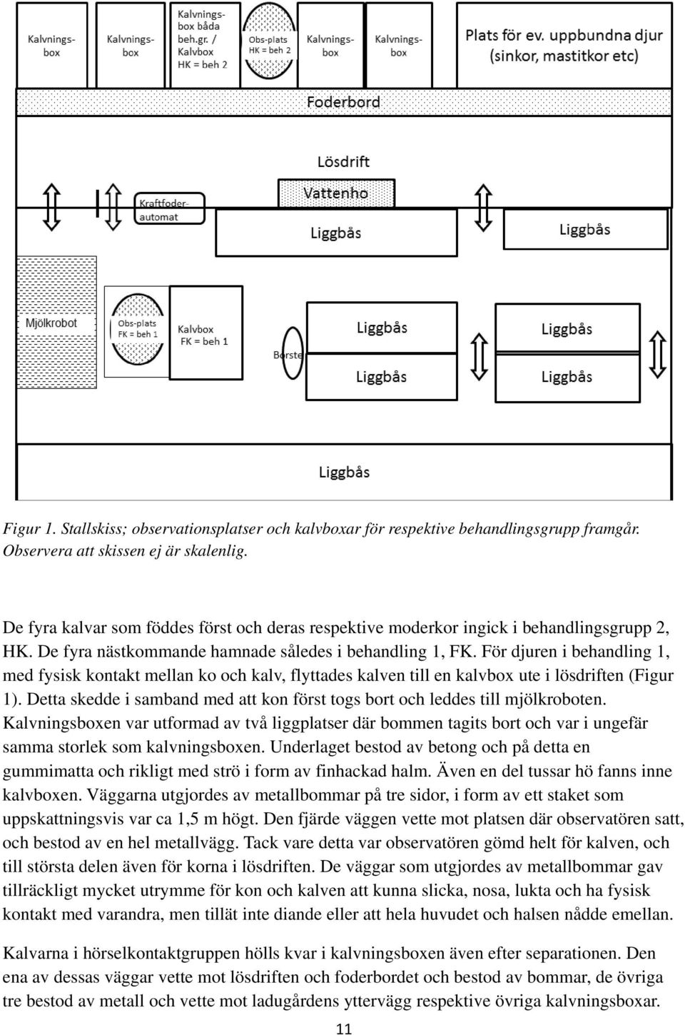 För djuren i behandling 1, med fysisk kontakt mellan ko och kalv, flyttades kalven till en kalvbox ute i lösdriften (Figur 1).