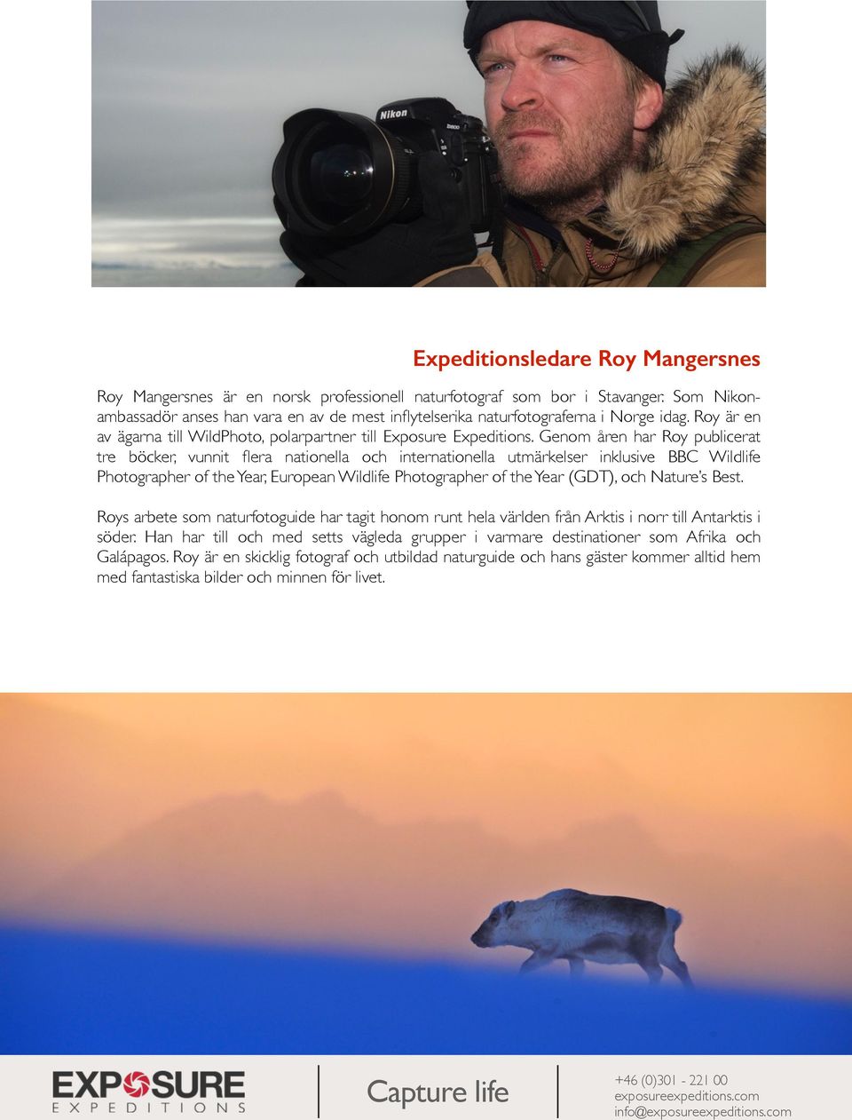 Genom åren har Roy publicerat tre böcker, vunnit flera nationella och internationella utmärkelser inklusive BBC Wildlife Photographer of the Year, European Wildlife Photographer of the Year (GDT),