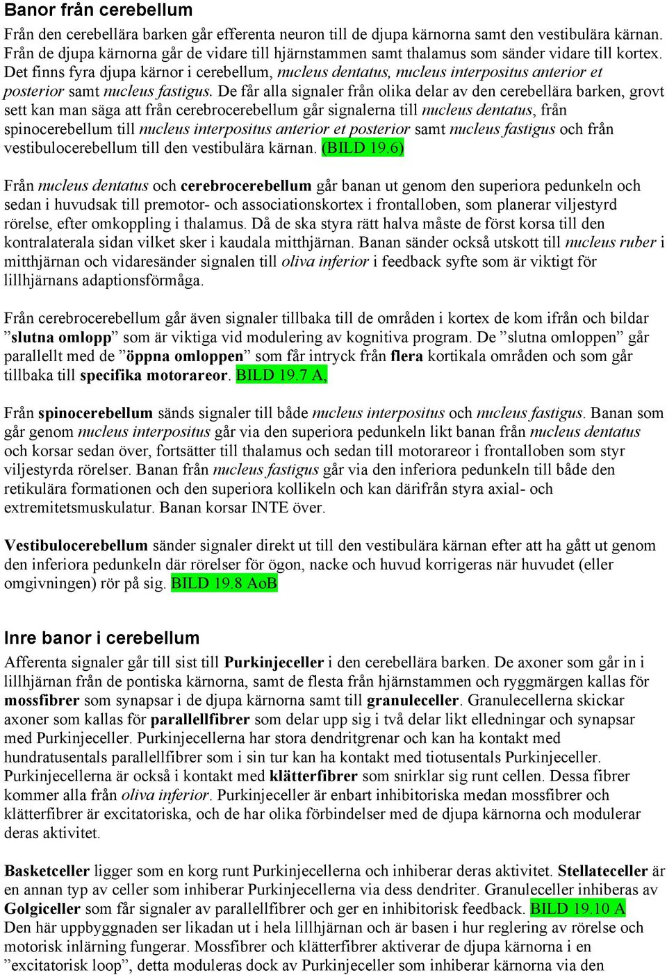 Det finns fyra djupa kärnor i cerebellum, nucleus dentatus, nucleus interpositus anterior et posterior samt nucleus fastigus.